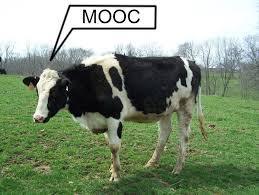 MOOC