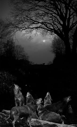  photo af4046009fbba26626c7cf57ba279f56_zps2c3a37ac.jpg