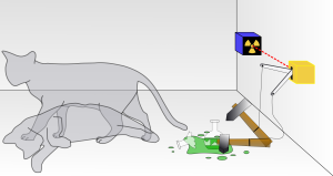 My conclusion to this theory? Schrödinger hated his cat.