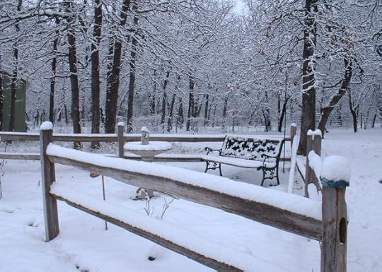 Winterscene