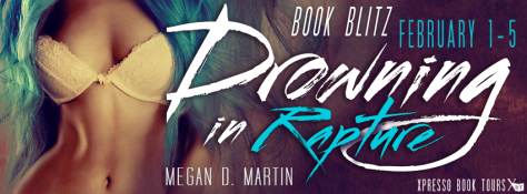 DrowninginRaptureBlitzBanner11