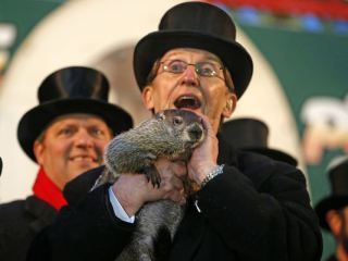 Punxsutawney Phil