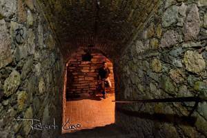 1013281_10201914902540142_998708318_n