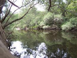 Australian bush