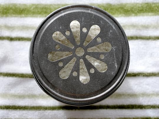 Flour Shaker