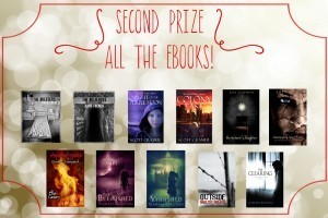 Second Prize