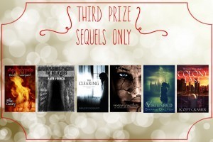 Third Prize