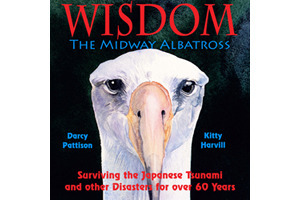 Wisdom, the Midway Albatross
