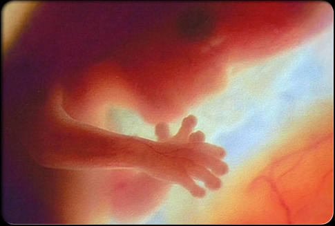 Screenshot 2014 02 03 00 22 50