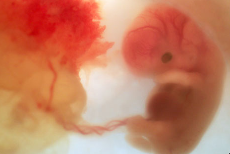 Screenshot 2014 02 03 00 36 31