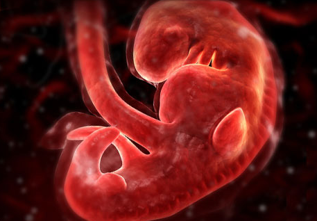 Screenshot 2014 02 03 00 37 05