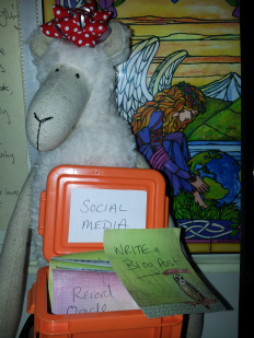 Social Media Box