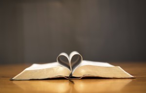 Love To Read