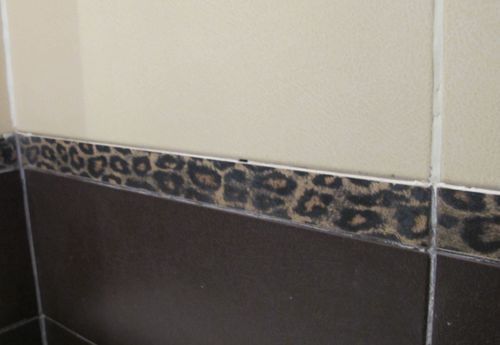 Leopard pattern accent tiles in one bathroom! Rawwrr….