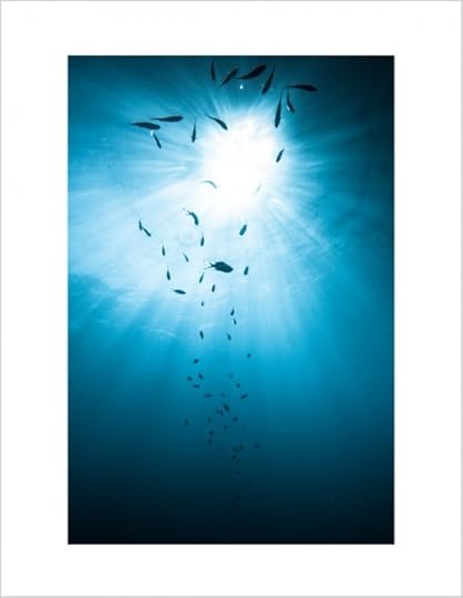 scuba to blog-2