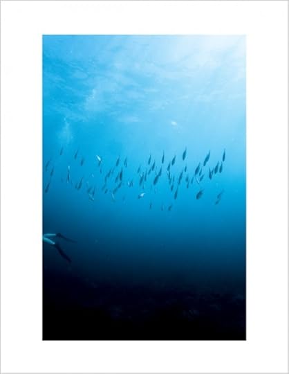 scuba to blog-3