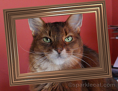 I was framed!