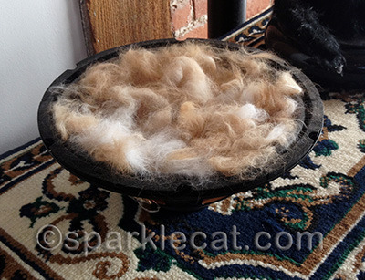 My human could make this with Boodie's fur