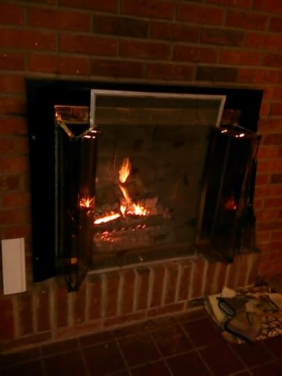 toasty warm fire
