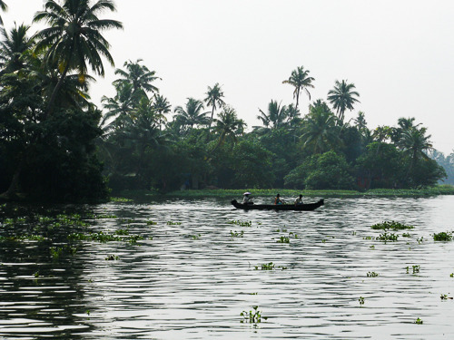 Canoe in Kerala