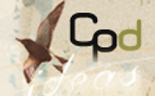 CPD bird motif & 'ideas'