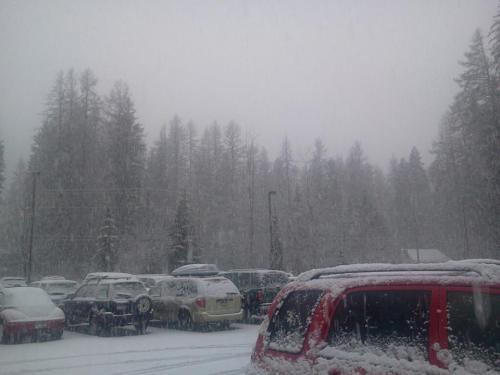 mccall.jpg