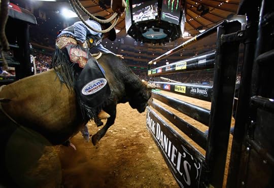  photo picture_tcp_big_The_Professional_Bull_Riders_2013_at_Madison_Square_Garden.jpg