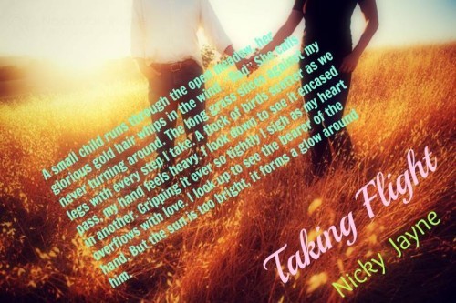 Taking Flight Cover Teaser
