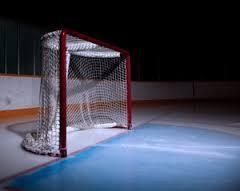  photo goalienet2_zpsd78871f8.jpg