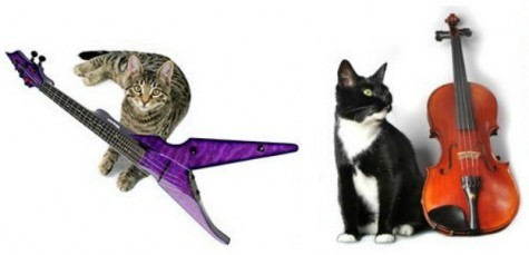 cats_violins