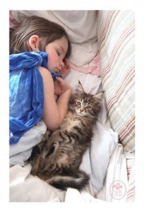 cat_therapy_autistic_child