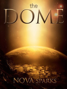 dome9071915