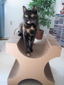 Ruby on X-Tetra Scratcher