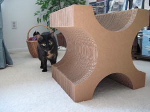 Allegra with X-Tetra Scratcher