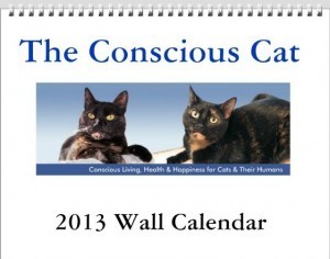 2013_Conscious_Cat_Wall_Calendar