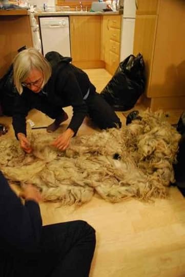 11-Fleece-Jeni 28-05-2012 04 31 24