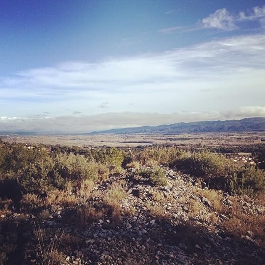 Daily miracle #life #luberon #nature