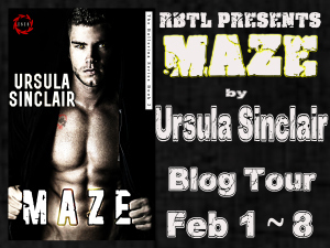 Maze Blog Tour Banner