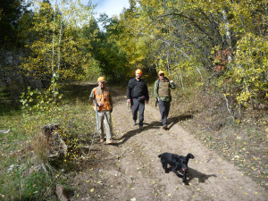 Tom Davis, John Loomis, and Shawn Wayment hunt ruffed grouse behind Ellie. 