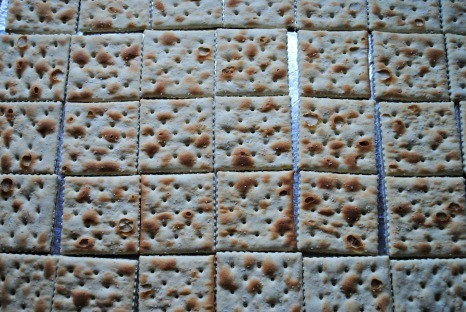 heath saltines lined upcropped