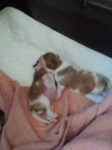 Day 8 Boy 1