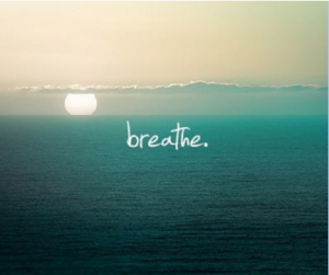 Breathe-300x251