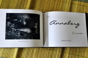 Turner 2