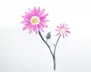 flowers2