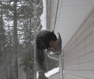 ???????????????????????????????