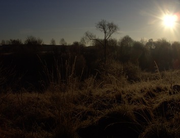 BILD0352