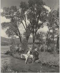 and abroad as one of the