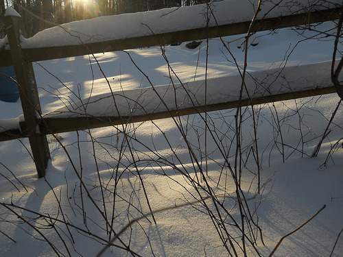 morning sunlight on snow