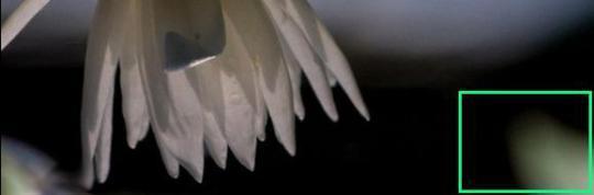 Post 86--Overcomng A-D