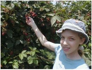 Post 81-helaing through nature